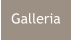 Galleria